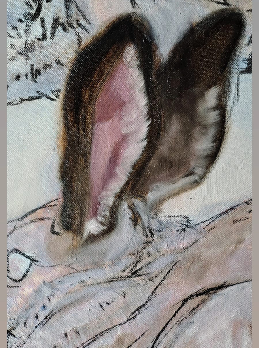 WhatsApp%20Image%202026-01-12%20at%2011.20.01%20AM